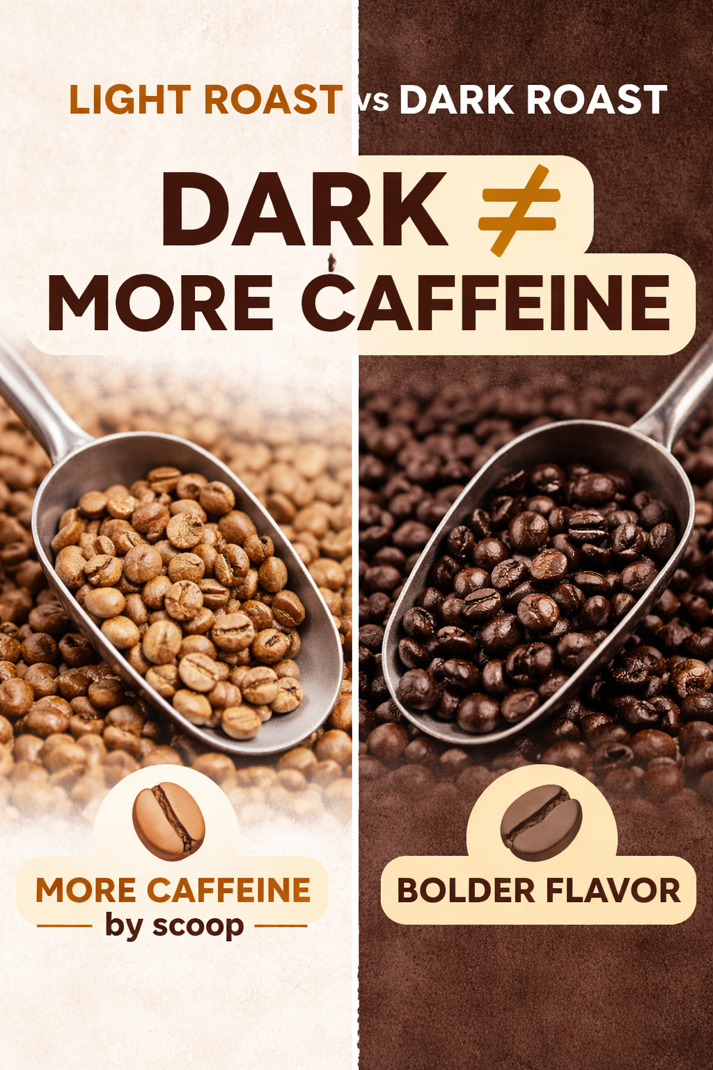 Light Roast vs Dark Roast: Which Coffee Has More Caffeine?